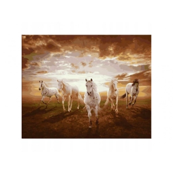 OBRAZ MALOWANIE PO NUMERACH RAMA 50x40cm KONIE W GALOPIE