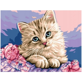 OBRAZ MALOWANIE PO NUMERACH RAMA 50x40cm UROCZY KOTEK