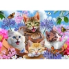 OBRAZ MALOWANIE PO NUMERACH RAMA 50x40cm KOTY WŚRÓD KWIATÓW