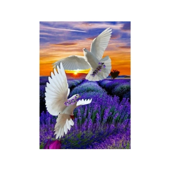 OBRAZ MALOWANIE PO NUMERACH RAMA 40x50cm DWA GOŁĘBIE