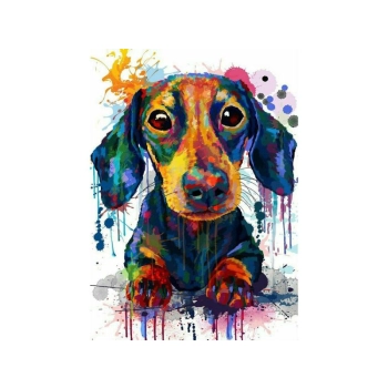 OBRAZ MALOWANIE PO NUMERACH RAMA 40x50cm PIES W KOLORZE