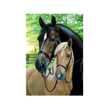 OBRAZ MALOWANIE PO NUMERACH RAMA 40x50cm KONIE